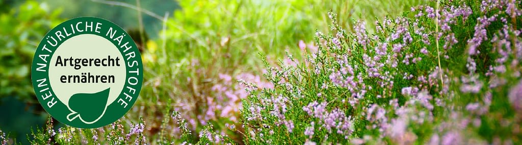 Naturgerechte Futterung Bei Erhohtem Wurmbesatz Naturavetal Ratgeber