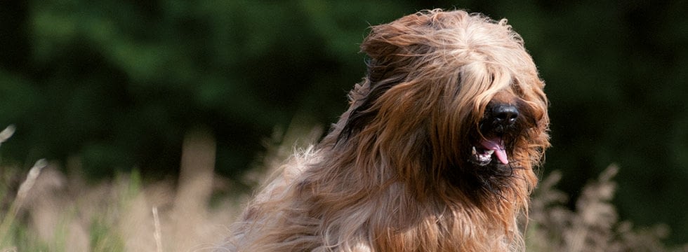 Teilbarfen Naturavetal Ratgeber